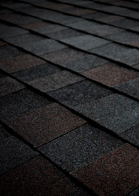 Lebron Construction & Roofing Inc Images