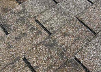 Lebron Construction & Roofing Inc Images